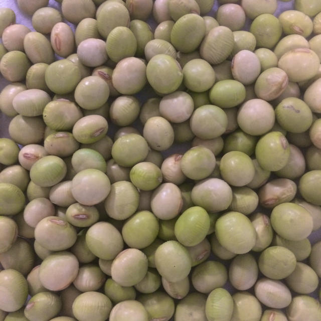 山形県産 秘伝豆 900gの通販 By ひでと S Shop ラクマ 山形県産 秘伝豆 900gの通販 By ひでと S Shop ラクマ