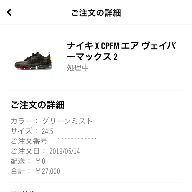 NIKE(ナイキ)のエアヴェイパーマックス2019cpfm ウィメンズ ヴェイパーマックス メンズの靴/シューズ(スニーカー)の商品写真