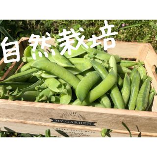 「自然栽培」実えんどう豆 約800g(野菜)