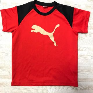 プーマ(PUMA)のPUMA プーマ Tシャツ 130cm(Tシャツ/カットソー)