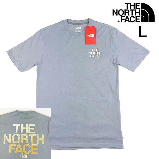 THE NORTH FACE(ザノースフェイス)のノースフェイス DUDE MOOD 半袖 Tシャツ(L)青 180902 メンズのトップス(Tシャツ/カットソー(半袖/袖なし))の商品写真