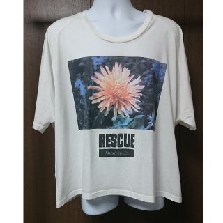 米津玄師 たんぽぽＴシャツ