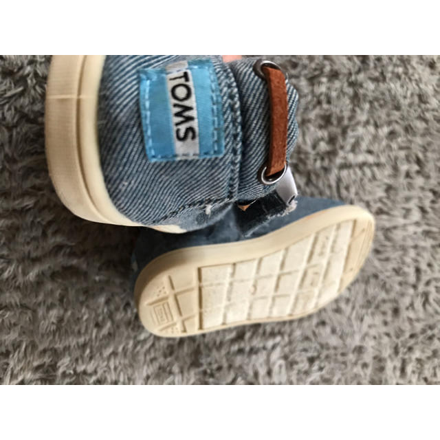 TOMS(トムズ)のスニーカー    キッズ/ベビー/マタニティのキッズ靴/シューズ(15cm~)(スニーカー)の商品写真