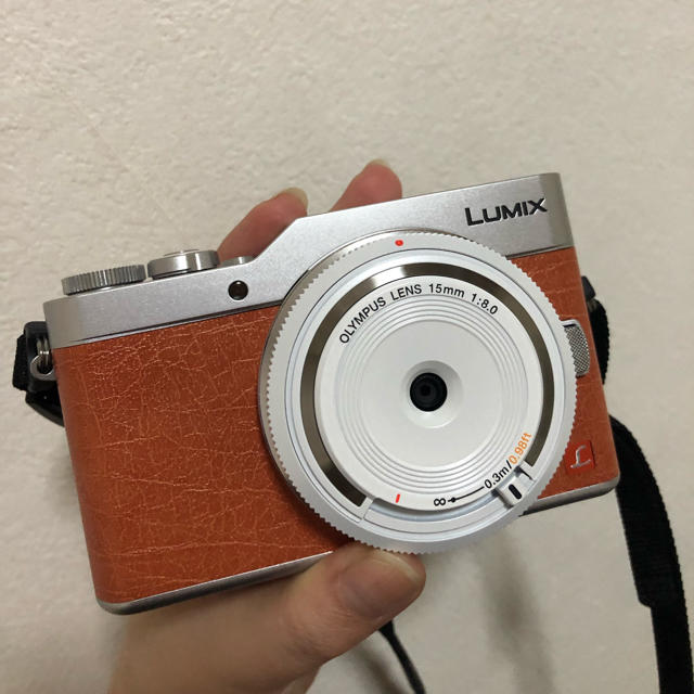 LUMIX ミラーレス一眼 GF9