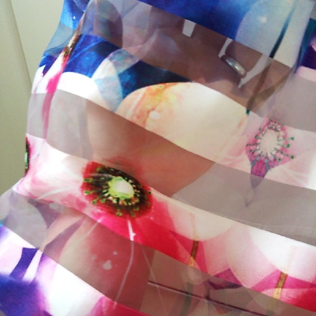 GRL(グレイル)の花柄 ボーダー チュールスカート レディースのスカート(ひざ丈スカート)の商品写真