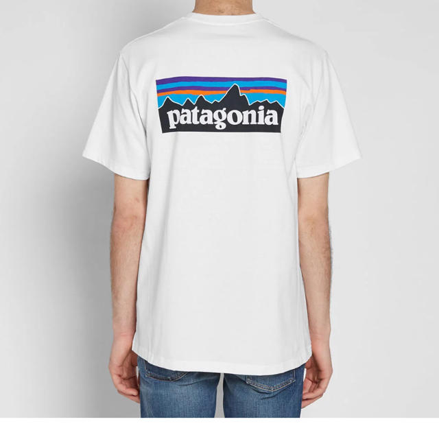 パタゴニア tシャツ s ホワイト