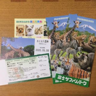 富士サファリパーク 入場券 2枚プラス施設利用券(動物園)