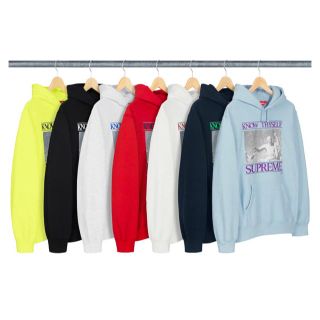 シュプリーム(Supreme)のSupreme Know Thyself Hooded Sweatshirt(パーカー)