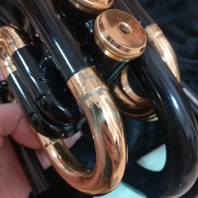 ポケットトランペット マウスピース付き 楽器の管楽器(トランペット)の商品写真