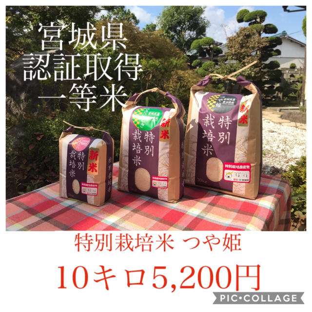 新米☆大粒☆特A取得☆宮城県産つや姫10キロ