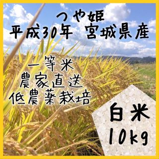 即購入OK♪【農家直送】宮城県産つや姫 白米 10kg【送料無料】(米/穀物)