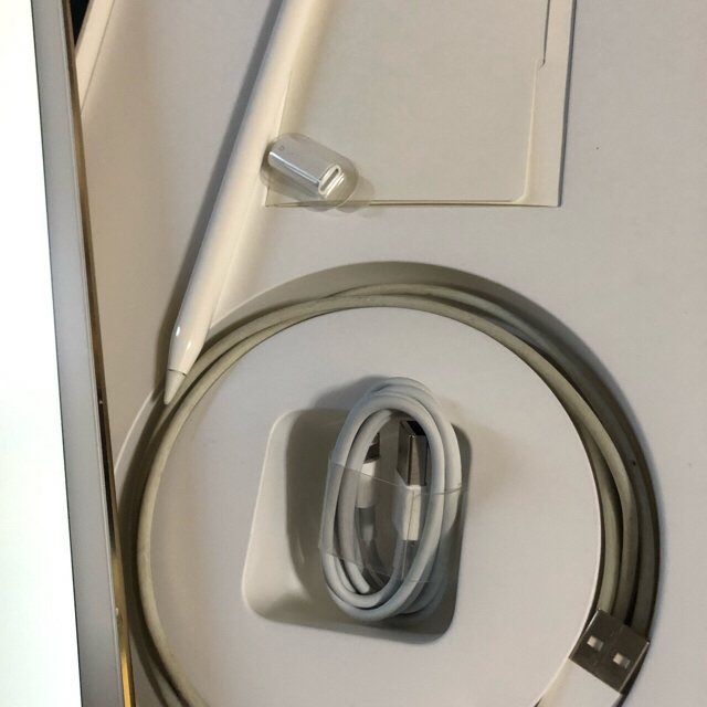 セール 登場から人気沸騰 - Apple iPad ペンシルセットに変更 Pro初代