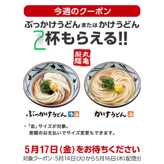 丸亀製麺スーパーフライデー(レストラン/食事券)