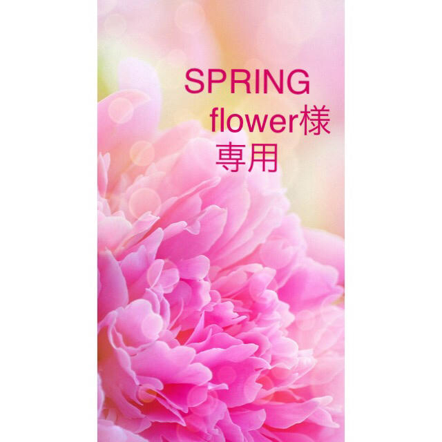 驚きの価格が実現！】 SPRING flower様確認用 プリザーブドフラワー