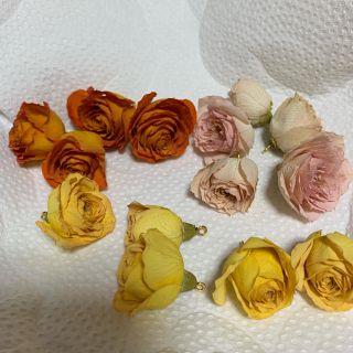 薔薇 バラ ドライフラワー カン付き(ドライフラワー)