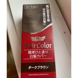 ドクターシーラボ(Dr.Ci Labo)のドクターシーラボ ワンタッチ 白髪カバー(白髪染め)