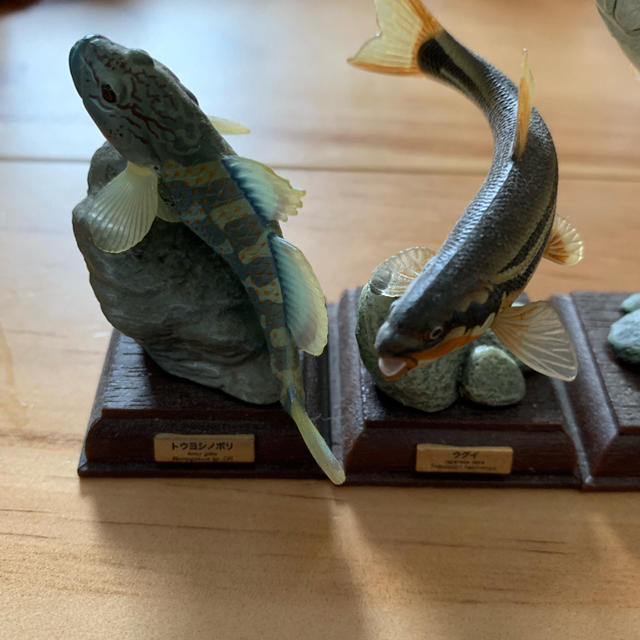ネイチャーテクニカラー 日本の清流 ガチャガチャの通販 by まい ネイチャーテクニカラー 日本の清流 ガチャガチャの通販 by まい