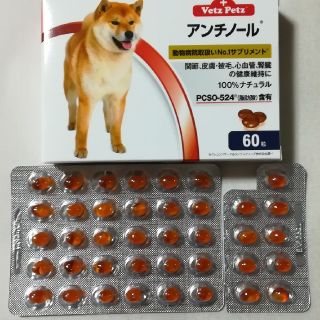 アンチノール　99粒(犬)