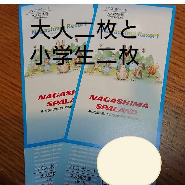 施設利用券 ナガシマスパーランド パスポート 日本 正規 代理 店