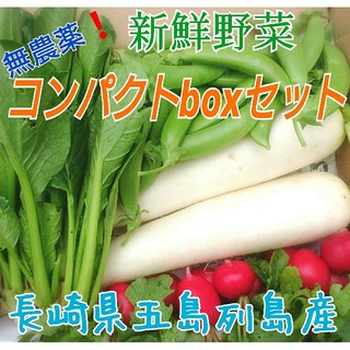 無農薬❗新鮮野菜セット(コンパクトbox) 長崎県五島列島産(野菜)
