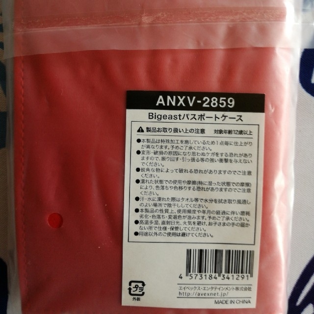 東方神起(トウホウシンキ)の東方神起　Bigeast パスポートケース エンタメ/ホビーのタレントグッズ(アイドルグッズ)の商品写真