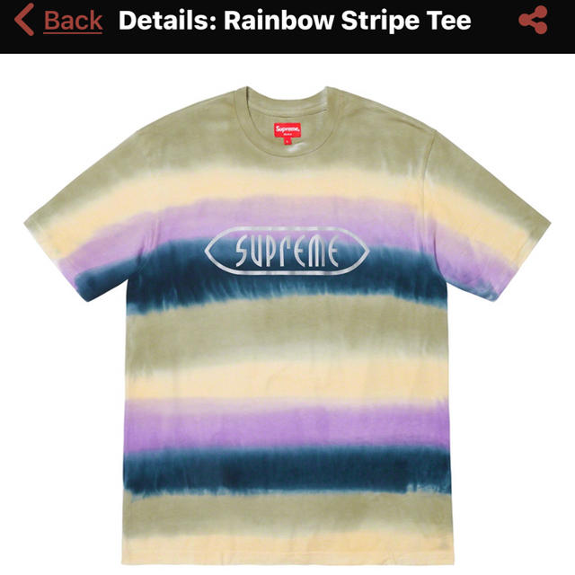 Supreme 19ss  Rainbow Stripe Tee