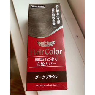 ドクターシーラボ(Dr.Ci Labo)のドクターシーラボ ワンタッチ 白髪カバー(白髪染め)