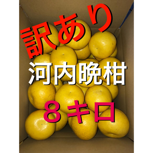 訳あり河内晩柑 8キロ 食品/飲料/酒の食品(フルーツ)の商品写真