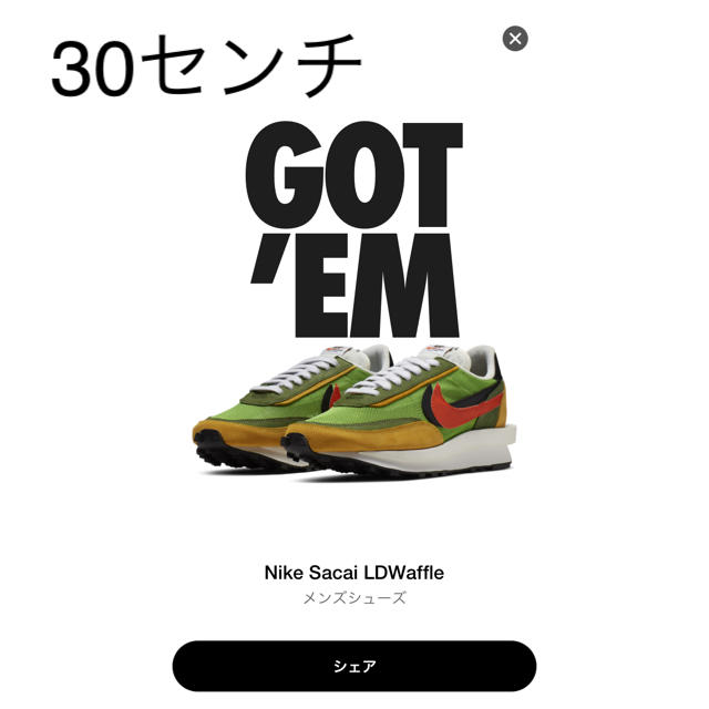 sacai nike LD ワッフル 30センチ