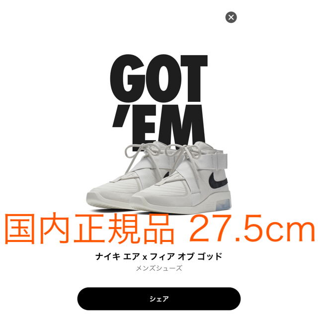 NIKE AIR FEAR OF GOD RAID