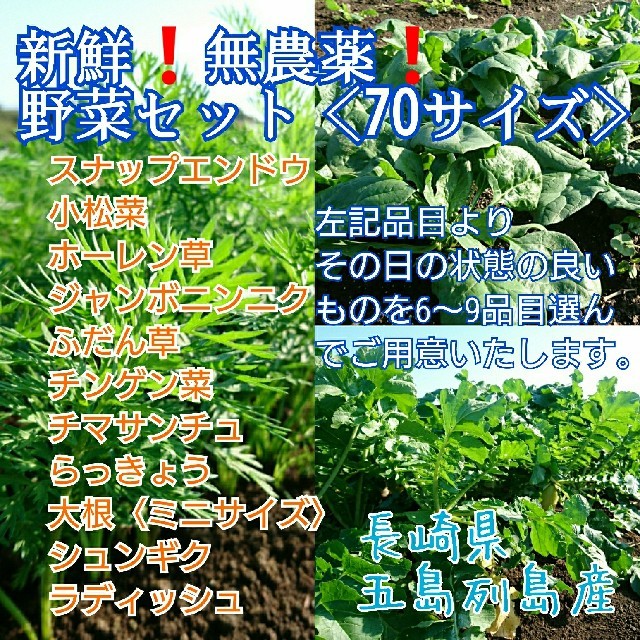 無農薬❗新鮮野菜セット(70サイズ) 長崎県五島列島よりお届け❗ 食品/飲料/酒の食品(野菜)の商品写真