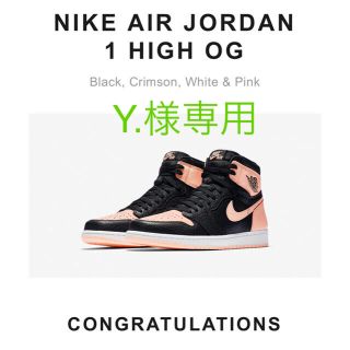 ナイキ(NIKE)のNIKE AIR JORDAN 1 HIGH OG(スニーカー)