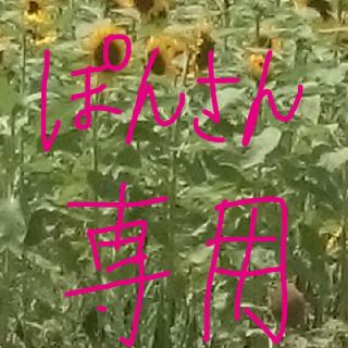 ミニ四駆(模型/プラモデル)