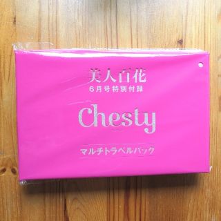 チェスティ(Chesty)のChesty マルチトラベルバッグ(その他)