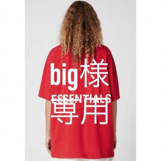 フィアオブゴッド(FEAR OF GOD)のbig様専用  Lサイズ(Tシャツ/カットソー(半袖/袖なし))