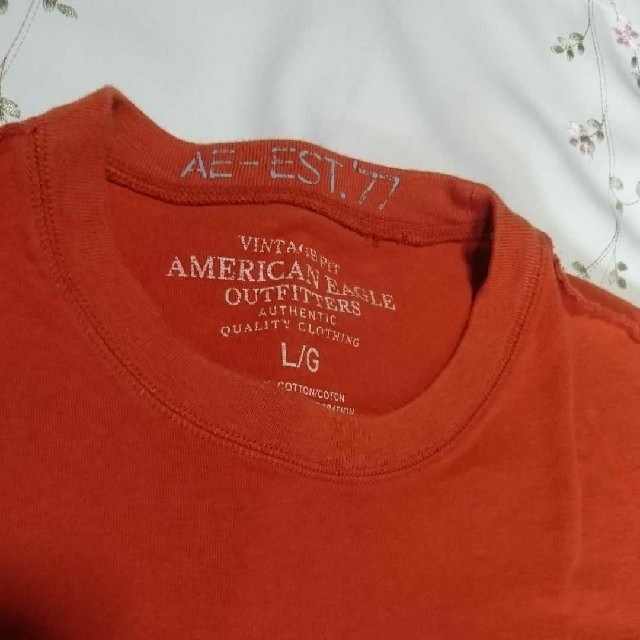 American Eagle(アメリカンイーグル)の●アメリカンイーグル 【L】 メンズのトップス(Tシャツ/カットソー(半袖/袖なし))の商品写真