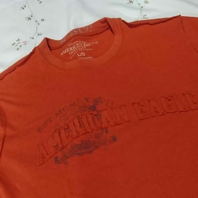 American Eagle(アメリカンイーグル)の●アメリカンイーグル 【L】 メンズのトップス(Tシャツ/カットソー(半袖/袖なし))の商品写真