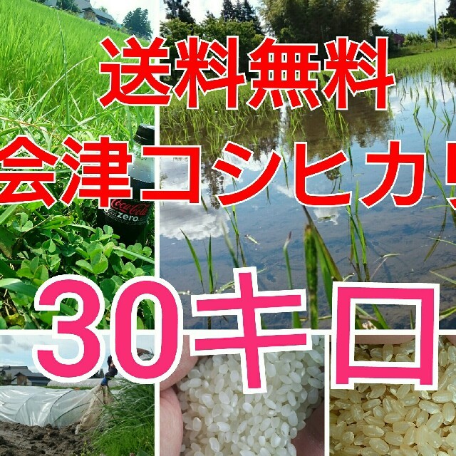 関東地方限定》送料無料会津コシヒカリ30キロ　米/穀物