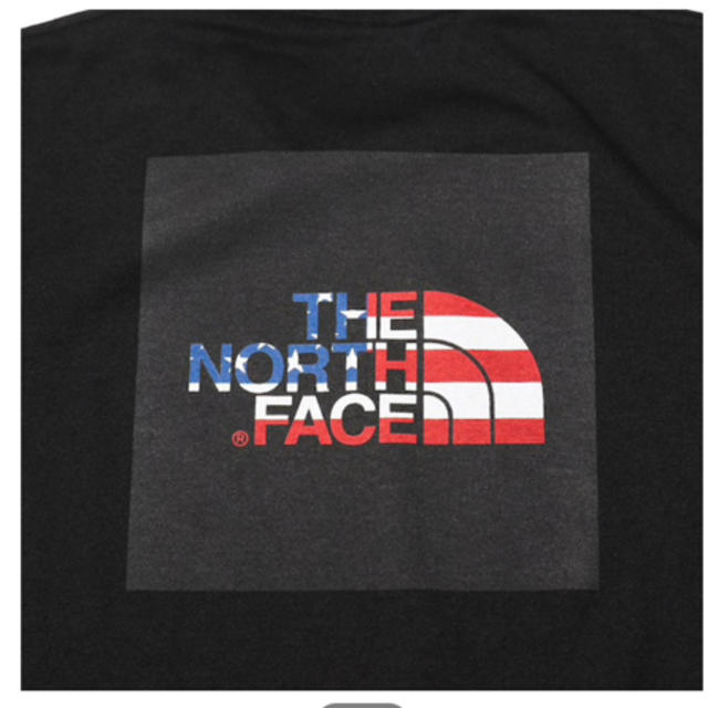 THE NORTH FACE(ザノースフェイス)の新品 ノースフェイス Ｔシャツ ブラック USA 完売品 メンズのトップス(Tシャツ/カットソー(半袖/袖なし))の商品写真