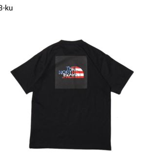 ザノースフェイス(THE NORTH FACE)の新品 ノースフェイス Ｔシャツ ブラック USA 完売品(Tシャツ/カットソー(半袖/袖なし))