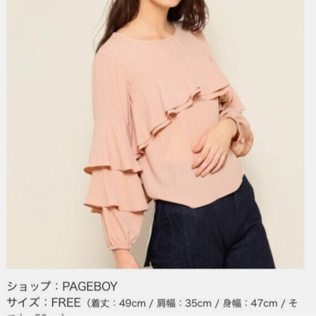 PAGEBOY(ページボーイ)のページボーイ くすみ ダスティピンク  フリルブラウス サンドカラー シアー レディースのトップス(シャツ/ブラウス(長袖/七分))の商品写真