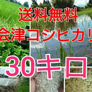 《関東地方限定》会津コシヒカリ30キロ(米/穀物)