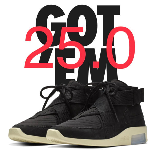 靴/シューズNike air fear of god レイド 黒 25