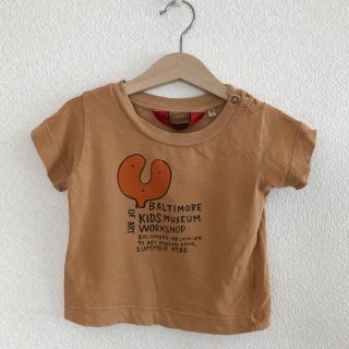 コドモビームス(こどもビームス)のTHE  ANIMALS OBSERVATORY 18m(Ｔシャツ)