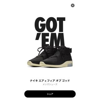 ナイキ(NIKE)のFear of God Nike raid fossil black 29(スニーカー)