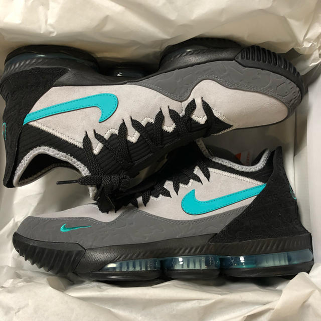 Nike atmos lebron xvi low ac ep 28cm