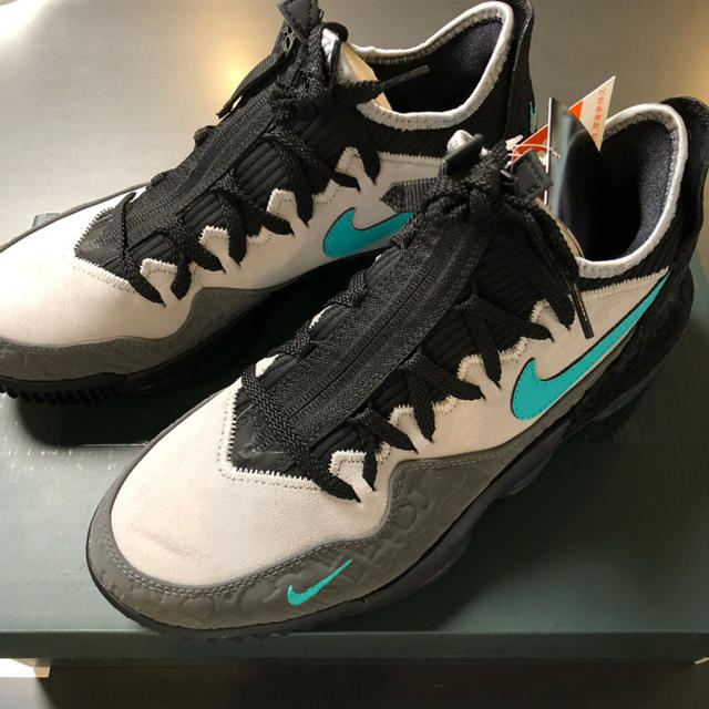 Nike atmos lebron xvi low ac ep 28cm