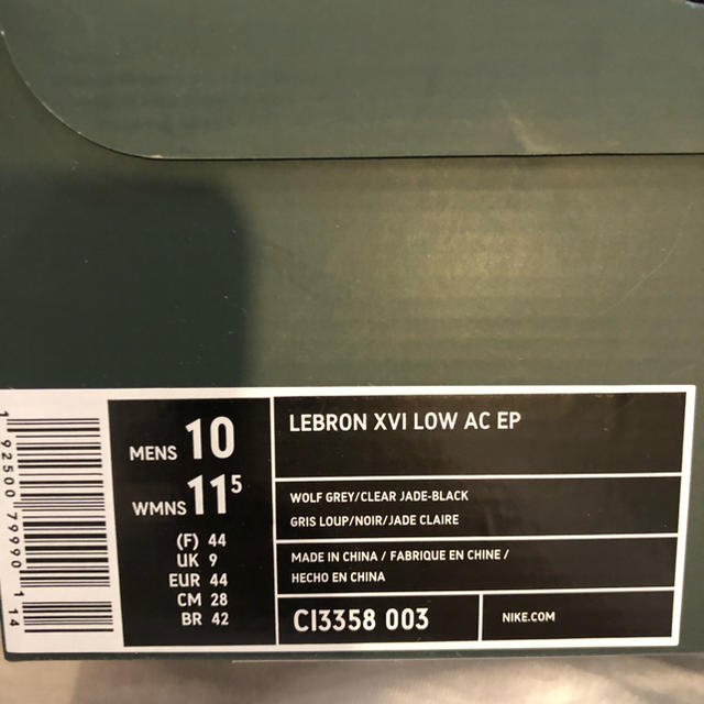 Nike atmos lebron xvi low ac ep 28cm