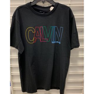 カルバンクライン(Calvin Klein)の【新品】【即発】 Calvin Klein  Tシャツ M(USサイズ) (Tシャツ/カットソー(半袖/袖なし))