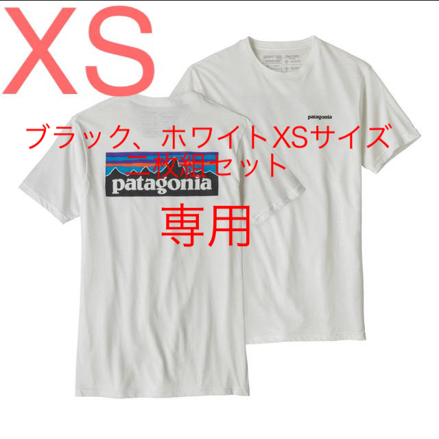 パタゴニア  Patagonia  ロゴＴシャツ  新品